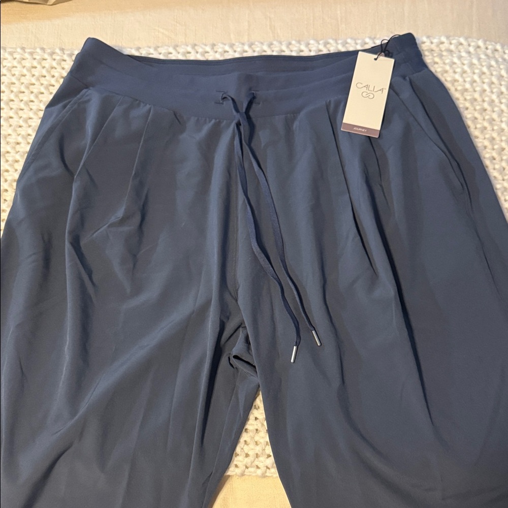 Slate Blue Jogger Pants mid rise wide leg